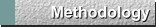 Methodology