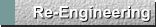 Re-Engineering